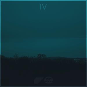 一级视频免费观看
