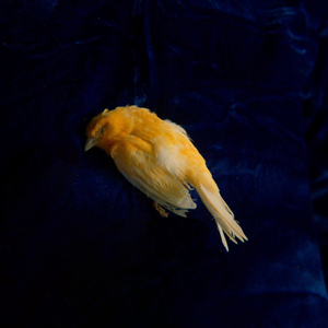 男士羞羞免费网站
