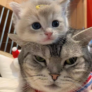 亚洲一区二区中文字幕无码
