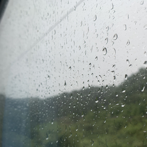 欧美黄色三级视频
