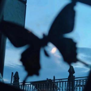 叔嫂偷偷做爱视频
