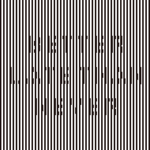 黑鬼大战日本少妇
