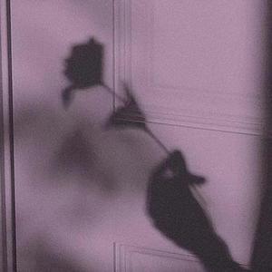 顾平把船开到了湖中央
