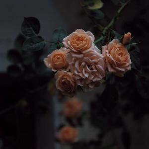 他添的我好湿好爽h视频软件
