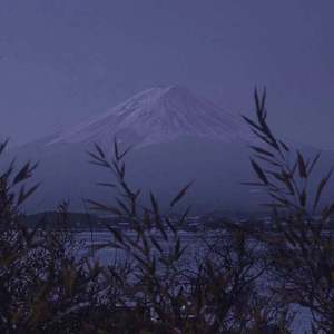 四川镶珠神人的外婆视频
