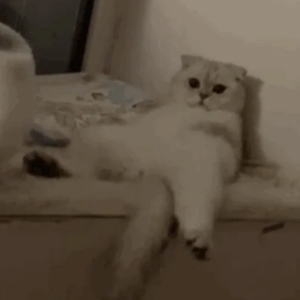 二人世界高清视频播放
