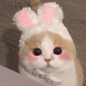 亚洲与欧洲精品刺激
