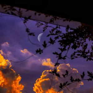 激情小说亚洲图片伦
