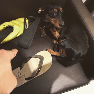 秋霞影院鲁丝片
