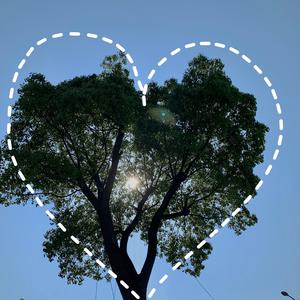 女明星三点尽露合集
