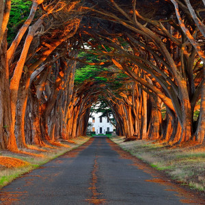 激情小说亚洲图片伦
