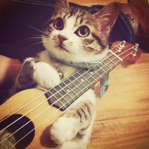 模特小芊是相约中国的模特吗
