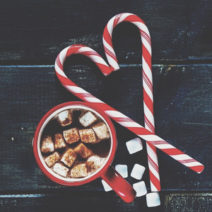 免费女同毛片在线观看
