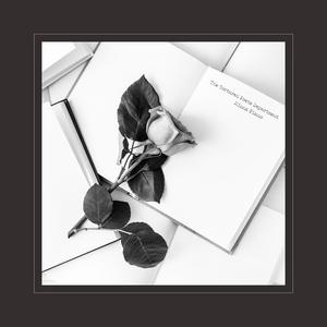 花季传媒视频无限制观看txt
