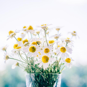 女人的洞洞不遮挡
