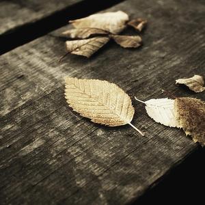 欧美黄色三级视频
