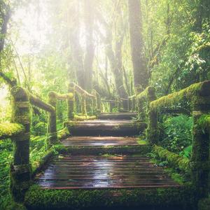 齐天大性四大美女
