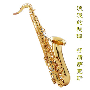 免费黄色软件永久免费破解
