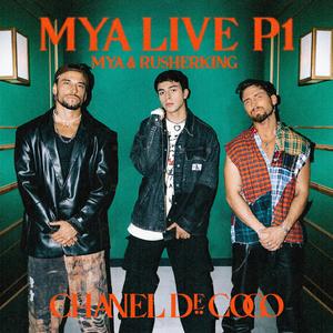 欧美黄色三级视频
