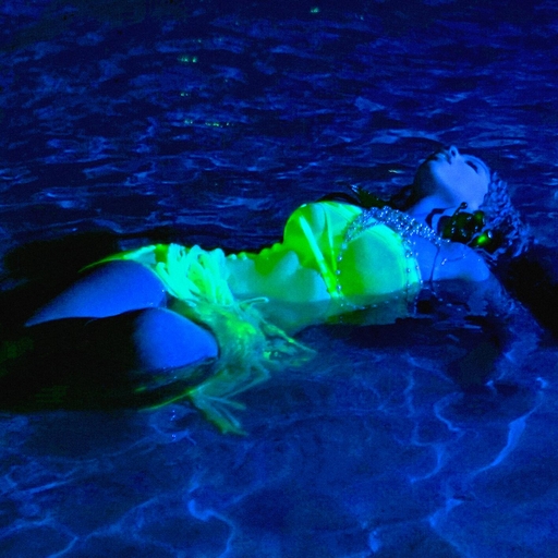 高清动态污插女b免费
