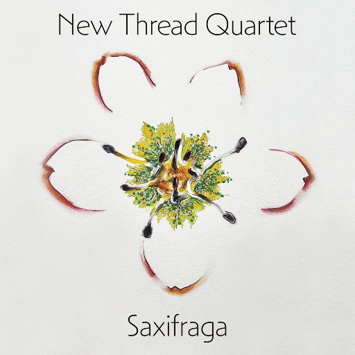 ASS老太奶大泬PicS
