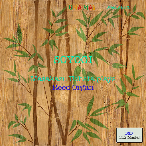 日韩在线免费播放
