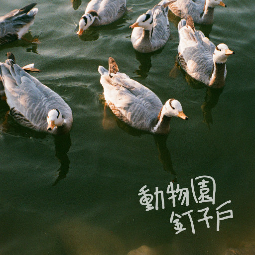 男士羞羞免费网站
